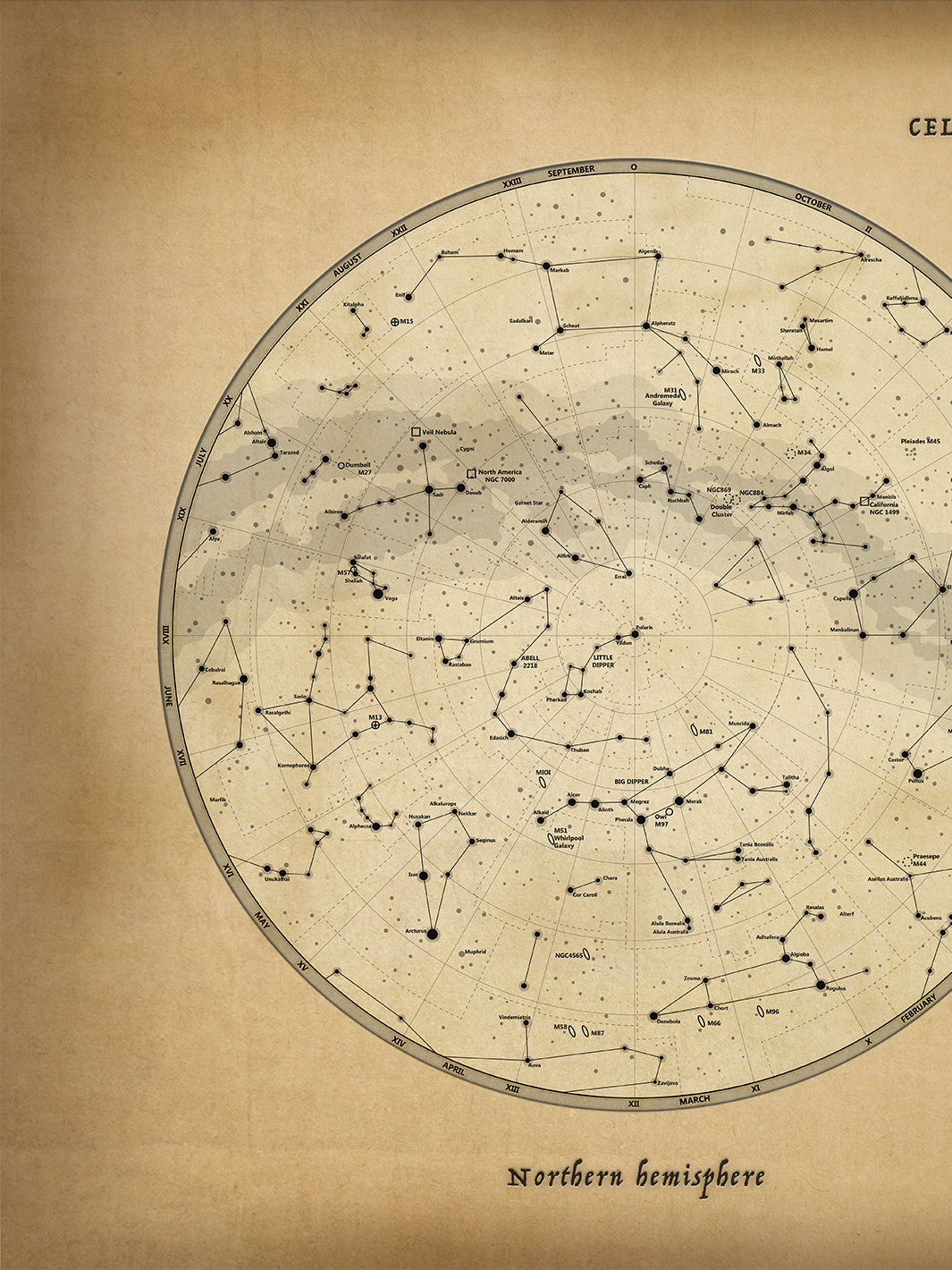 A Celestial Planisphere - Da Vinci – Valhalla Gallery A Celestial Planisphere - Da Vinci – Valhalla Gallery
